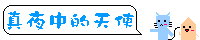 真夜中の天使